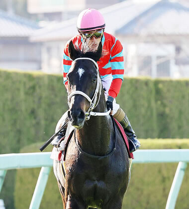 感情殺してロボットみたいにスロ打ってる奴がキモい
 | やっちまった速報(ピックアップ3)