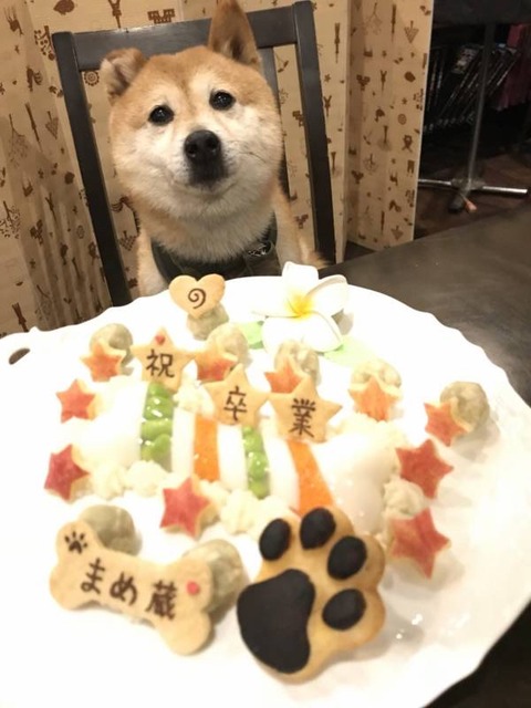 【画像】戸塚ヨットスクールの爺さん「体罰は善なんよ！」X民「うおおおおおおおおおおおおーーー！！」 | 【画像】戸塚ヨットスクールの爺さん「体罰は善なんよ！」X民「うおおおおおおおおおおおおーーー！！」 | 【画像】戸塚ヨットスクールの爺さん「体罰は善なんよ！」X民「うおおおおおおおおおおおおーーー！！」 | やっちまった速報(画像29022519332109_3)
