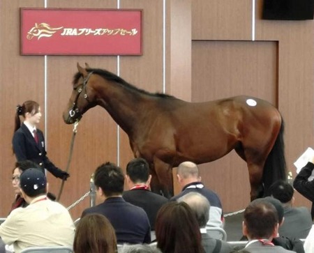  【究極の選択】ワイが苦しみながら死ぬかわりに100億円貰えるボタン ←押す？ | やっちまった速報(最新記事4)