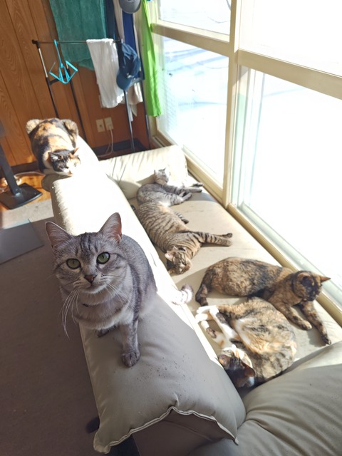 自衛隊「高卒で24万円もらえます。生活費かかりまません。最近は暴力ありません」←お前らがならない理由ｗｗｗｗｗ | 自衛隊「高卒で24万円もらえます。生活費かかりまません。最近は暴力ありません」←お前らがならない理由ｗｗｗｗｗ | 自衛隊「高卒で24万円もらえます。生活費かかりまません。最近は暴力ありません」←お前らがならない理由ｗｗｗｗｗ | 自衛隊「高卒で24万円もらえます。生活費かかりまません。最近は暴力ありません」←お前らがならない理由ｗｗｗｗｗ | 自衛隊「高卒で24万円もらえます。生活費かかりまません。最近は暴力ありません」←お前らがならない理由ｗｗｗｗｗ | 自衛隊「高卒で24万円もらえます。生活費かかりまません。最近は暴力ありません」←お前らがならない理由ｗｗｗｗｗ | 自衛隊「高卒で24万円もらえます。生活費かかりまません。最近は暴力ありません」←お前らがならない理由ｗｗｗｗｗ | 自衛隊「高卒で24万円もらえます。生活費かかりまません。最近は暴力ありません」←お前らがならない理由ｗｗｗｗｗ | 自衛隊「高卒で24万円もらえます。生活費かかりまません。最近は暴力ありません」←お前らがならない理由ｗｗｗｗｗ | 自衛隊「高卒で24万円もらえます。生活費かかりまません。最近は暴力ありません」←お前らがならない理由ｗｗｗｗｗ | 自衛隊「高卒で24万円もらえます。生活費かかりまません。最近は暴力ありません」←お前らがならない理由ｗｗｗｗｗ | 自衛隊「高卒で24万円もらえます。生活費かかりまません。最近は暴力ありません」←お前らがならない理由ｗｗｗｗｗ | 自衛隊「高卒で24万円もらえます。生活費かかりまません。最近は暴力ありません」←お前らがならない理由ｗｗｗｗｗ | 自衛隊「高卒で24万円もらえます。生活費かかりまません。最近は暴力ありません」←お前らがならない理由ｗｗｗｗｗ | 自衛隊「高卒で24万円もらえます。生活費かかりまません。最近は暴力ありません」←お前らがならない理由ｗｗｗｗｗ | 自衛隊「高卒で24万円もらえます。生活費かかりまません。最近は暴力ありません」←お前らがならない理由ｗｗｗｗｗ | 自衛隊「高卒で24万円もらえます。生活費かかりまません。最近は暴力ありません」←お前らがならない理由ｗｗｗｗｗ | やっちまった速報(画像30051527052300_17)