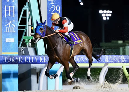 竹俣紅さん、予想YouTubeの台本は自作
 | やっちまった速報(最新記事6)