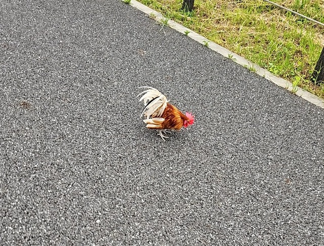 【悲報】西日本シティ銀行、謝罪 | 【悲報】西日本シティ銀行、謝罪 | 【悲報】西日本シティ銀行、謝罪 | 【悲報】西日本シティ銀行、謝罪 | 【悲報】西日本シティ銀行、謝罪 | やっちまった速報(画像30172529186550_5)