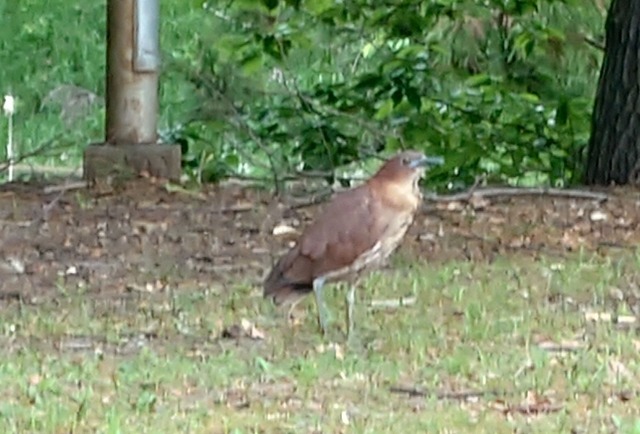 【悲報】西日本シティ銀行、謝罪 | 【悲報】西日本シティ銀行、謝罪 | 【悲報】西日本シティ銀行、謝罪 | 【悲報】西日本シティ銀行、謝罪 | 【悲報】西日本シティ銀行、謝罪 | 【悲報】西日本シティ銀行、謝罪 | やっちまった速報(画像30172529693922_6)