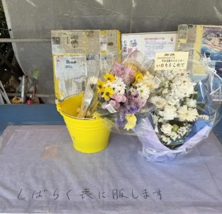 【画像】大物AV女優さん「AVやらずに生きられるならやりたくなかった」
 | やっちまった速報(最新記事11)