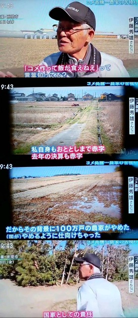 【緊急】高市政府「家畜用のコメが足りないことがわかったの！農家の皆さんは大至急増産して！！」 | 【緊急】高市政府「家畜用のコメが足りないことがわかったの！農家の皆さんは大至急増産して！！」 | 【緊急】高市政府「家畜用のコメが足りないことがわかったの！農家の皆さんは大至急増産して！！」 | やっちまった速報(画像13020744042645_3)