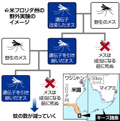 【悲報】蚊、6400万匹放出wwwwwwwwwww | 【悲報】蚊、6400万匹放出wwwwwwwwwww | 【悲報】蚊、6400万匹放出wwwwwwwwwww | 【悲報】蚊、6400万匹放出wwwwwwwwwww | 【悲報】蚊、6400万匹放出wwwwwwwwwww | やっちまった速報(画像05025846176018_5)
