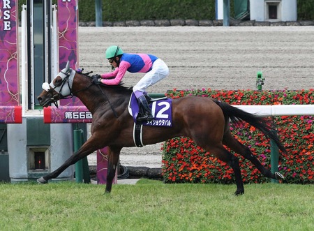 【悲報】ラフターラインズ左前脚を骨折　エリザベス女王杯を目標
 | やっちまった速報(最新記事14)