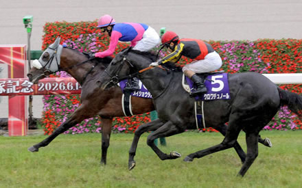 【悲報】ラフターラインズ左前脚を骨折　エリザベス女王杯を目標
 | やっちまった速報(最新記事4)
