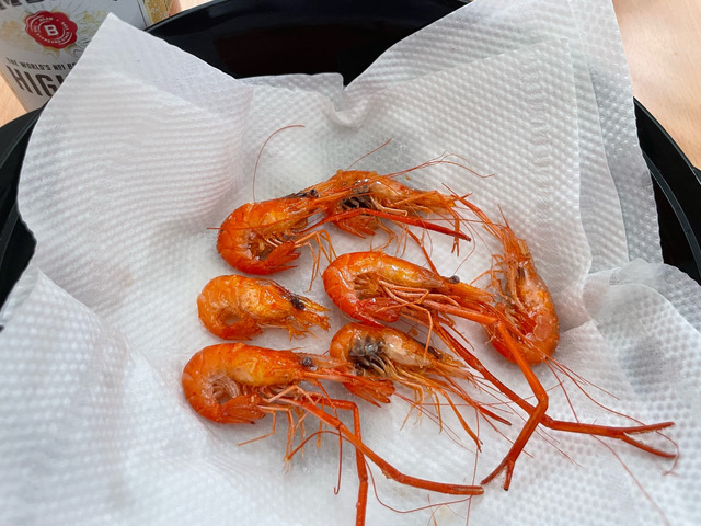 【画像】多摩川でテナガエビを釣ってきた | 【画像】多摩川でテナガエビを釣ってきた | 【画像】多摩川でテナガエビを釣ってきた | 【画像】多摩川でテナガエビを釣ってきた | 【画像】多摩川でテナガエビを釣ってきた | 【画像】多摩川でテナガエビを釣ってきた | 【画像】多摩川でテナガエビを釣ってきた | 【画像】多摩川でテナガエビを釣ってきた | 【画像】多摩川でテナガエビを釣ってきた | 【画像】多摩川でテナガエビを釣ってきた | 【画像】多摩川でテナガエビを釣ってきた | やっちまった速報(画像25031903384492_11)
