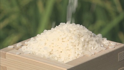 やっちまった速報(最新記事5)