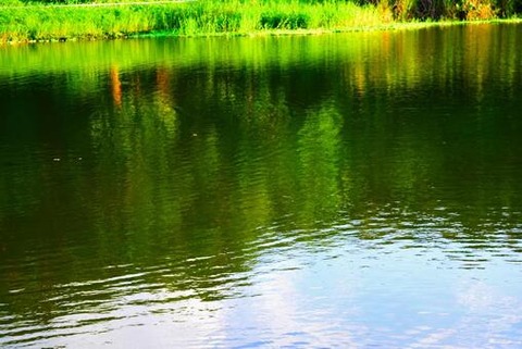 やっちまった速報(画像10/02011921821905_2) やっちまった速報(画像10/02011921821905_2)