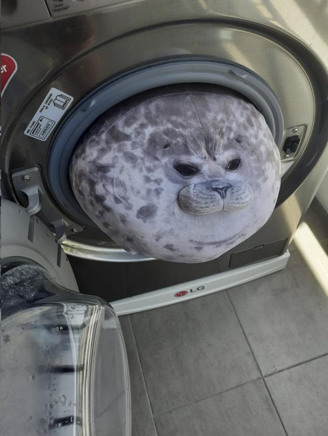 やっちまった速報(画像11/05223647902333_8) やっちまった速報(画像11/05223647902333_8)