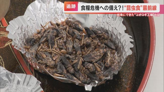 やっちまった速報(画像11/23192854235242_1) やっちまった速報(画像11/23192854235242_1)