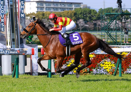 やっちまった速報(最新記事11)