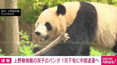 やっちまった速報(最新記事9)