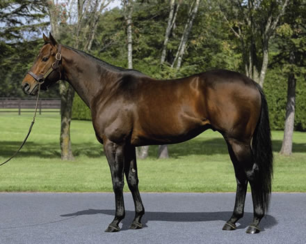 やっちまった速報(最新記事3)