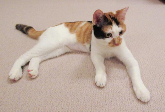 やっちまった速報(画像17010436928275_11)