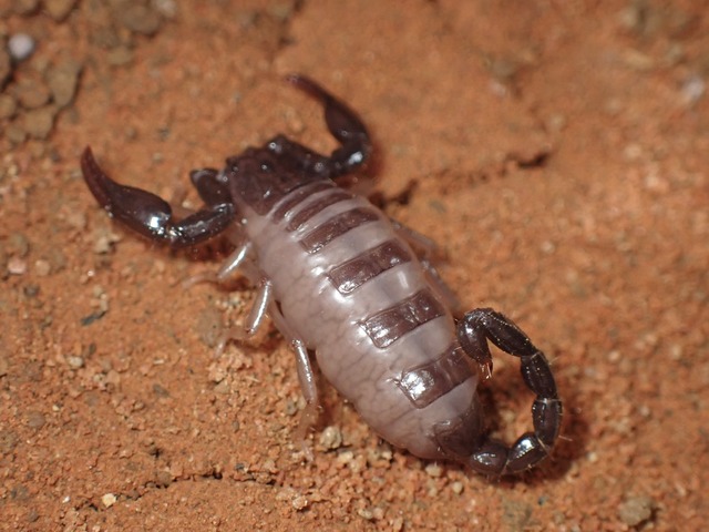 やっちまった速報(画像17010432809413_4)