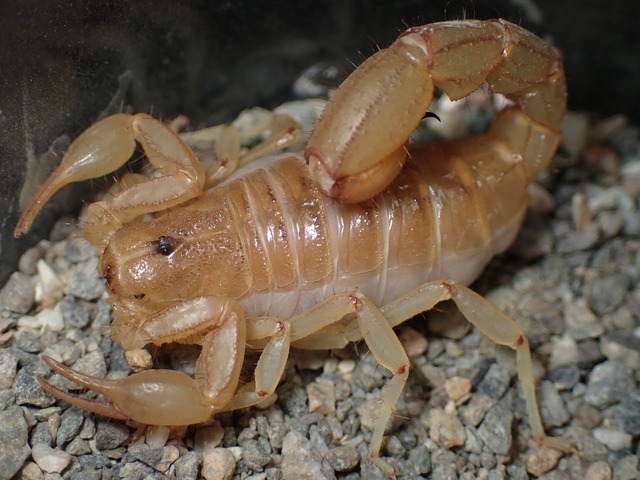 やっちまった速報(画像17010435170629_8)