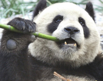 やっちまった速報(最新記事2)