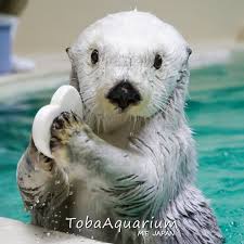 やっちまった速報(画像17155631243626_12)