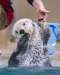 やっちまった速報(画像17155632179282_14)