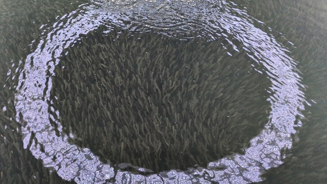 やっちまった速報(画像19153757823766_3)