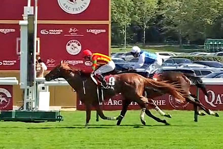 やっちまった速報(最新記事4)