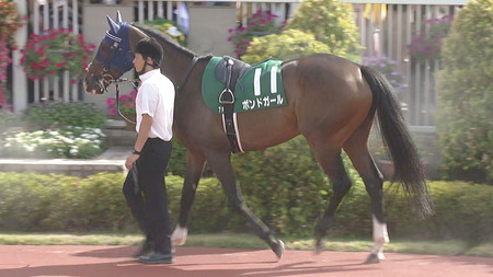 やっちまった速報(最新記事1)