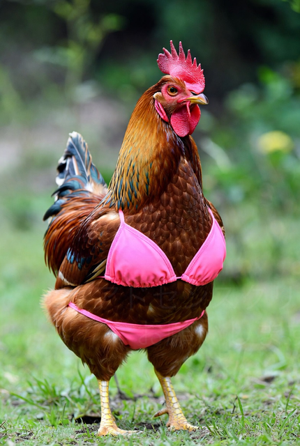 やっちまった速報(画像02212411191575_26)