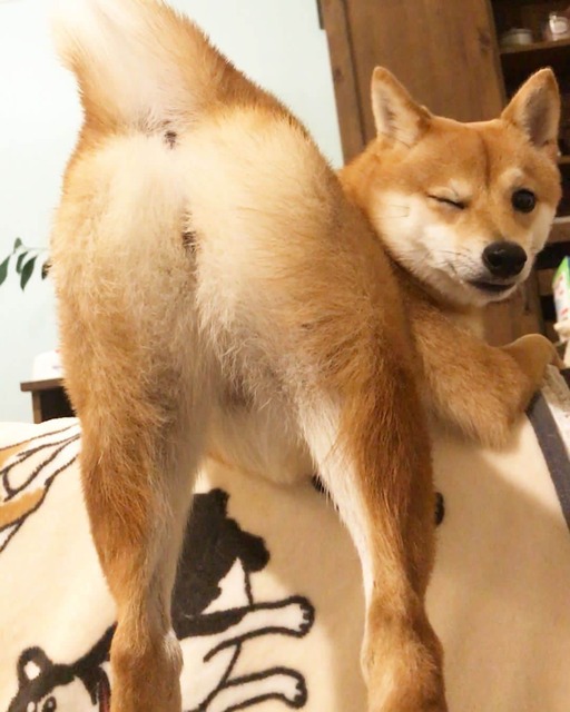 やっちまった速報(画像03140800414901_6)