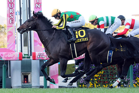 やっちまった速報(最新記事7)