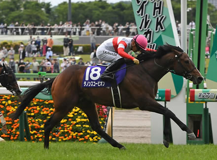 やっちまった速報(最新記事13)