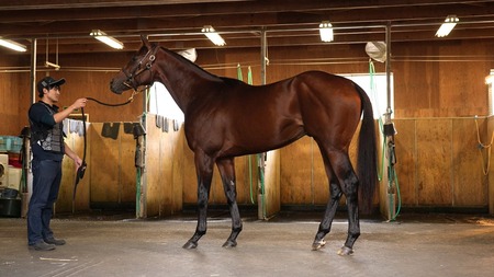 やっちまった速報(最新記事1)