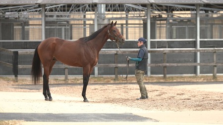 やっちまった速報(最新記事1)