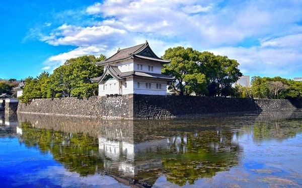 やっちまった速報(最新記事5)