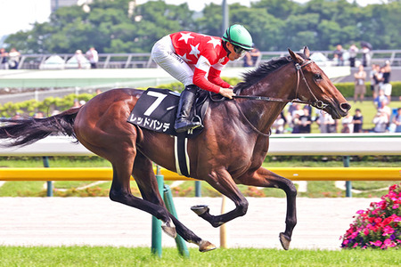 やっちまった速報(最新記事3)