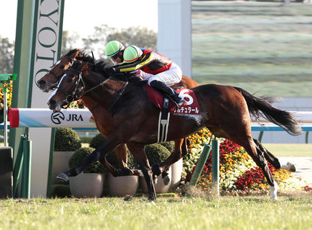 やっちまった速報(最新記事4)