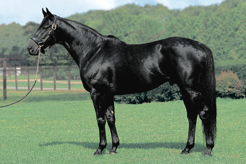 やっちまった速報(最新記事4)