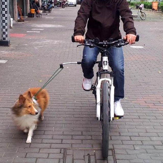 やっちまった速報(画像28061836088270_4) やっちまった速報(画像28061836088270_4)