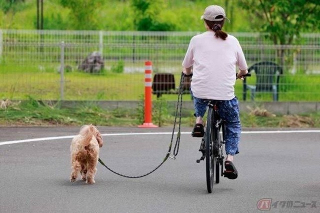 やっちまった速報(画像28061836617035_5)