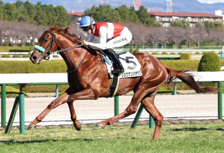 やっちまった速報(最新記事2)