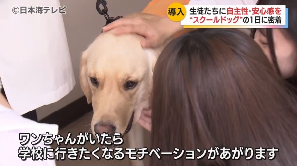 やっちまった速報(画像28211856505352_58)