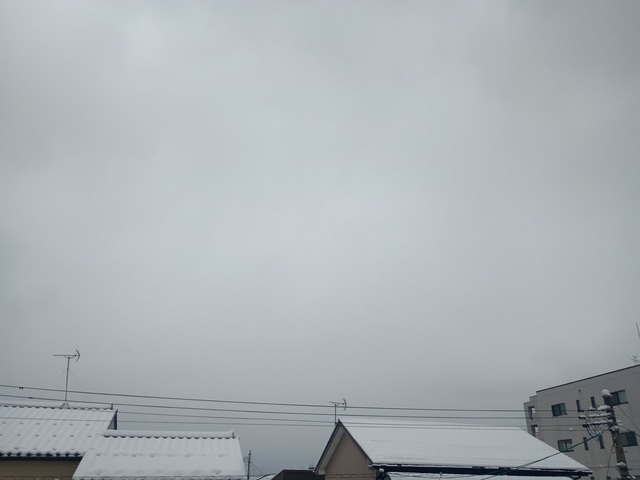 やっちまった速報(画像02115822426020_10) やっちまった速報(画像02115822426020_10)