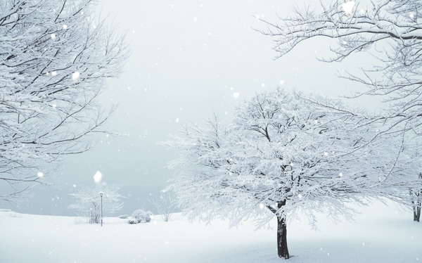 遊技機メーカーがアニメ製作に関わっているタイトル一覧が公開！
 | やっちまった速報(最新記事1)