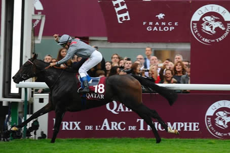 【新台】三洋「eギンギラパラダイスVIVA FESTA」事前スペック情報！1/319、突入率45％、継続率80％、夢幻チャレンジ∞獲得で次回大当たり濃厚！
 | やっちまった速報(最新記事1)