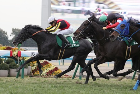 【画像】怪獣8号さん、遂に『人類最強キャラ』が参戦したのにイマイチ盛り上がりにかける | やっちまった速報(最新記事2)