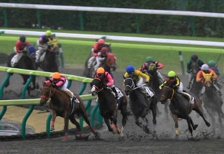バカ「毎月の食費が高くて…」 ワイ「キャベツ一玉200円」 バカ「へ…？」 ワイ「だいたいどこのスーパーもキャベツ一玉200円だよ！」
 | やっちまった速報(最新記事1)