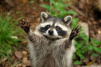 やっちまった速報(最新記事7)