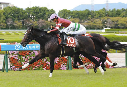 【競馬予想】[2]第60回共同通信杯(GⅢ) /2026
 | やっちまった速報(最新記事3)